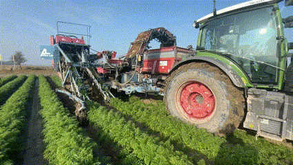 Szalay Farm